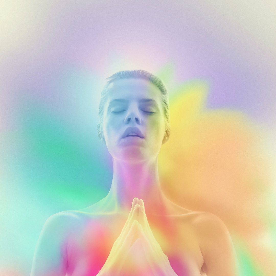 Jamie’s Approach One Tree